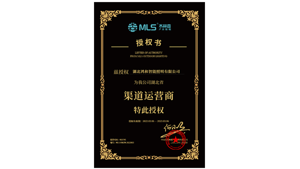 木林森湖北省渠道运营商